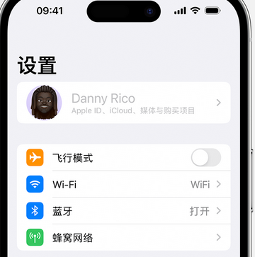 古蔺appleID维修服务iPhone设置中Apple ID显示为灰色无法使用 