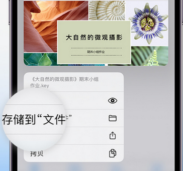 古蔺apple维修中心分享iPhone文件应用中存储和找到下载文件