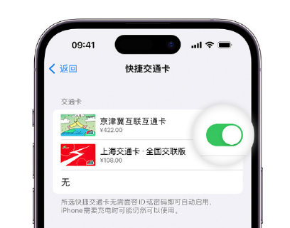 古蔺apple维修点分享iPhone上更换Apple Pay快捷交通卡手绘卡面 