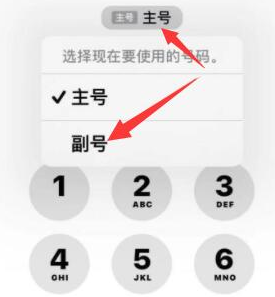 古蔺苹果14维修店分享iPhone 14 Pro Max使用副卡打电话的方法 