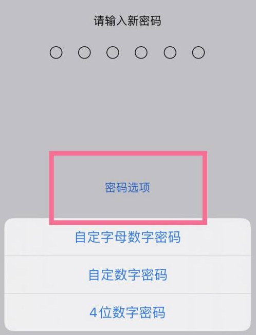 古蔺苹果14维修分享iPhone 14plus设置密码的方法 