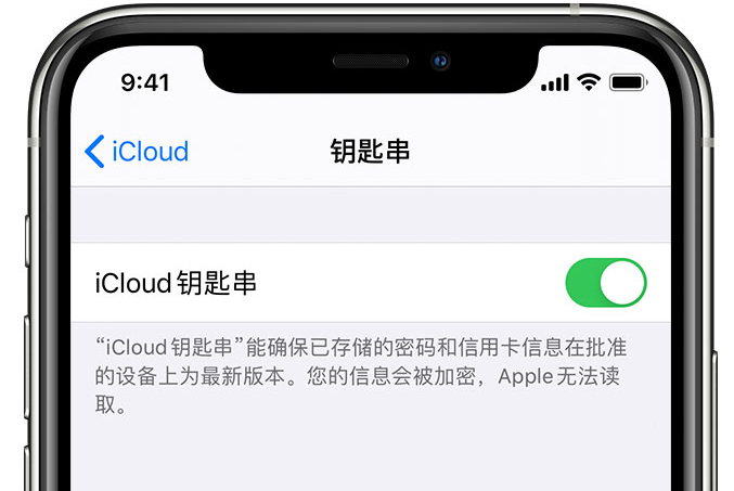 古蔺苹果手机维修分享在 iPhone 上开启 iCloud 钥匙串之后会储存哪些信息 